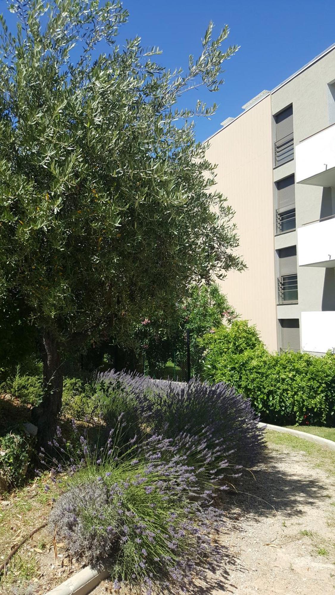 Studio Vista Daire Antibes Dış mekan fotoğraf